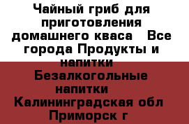 Чайный гриб для приготовления домашнего кваса - Все города Продукты и напитки » Безалкогольные напитки   . Калининградская обл.,Приморск г.